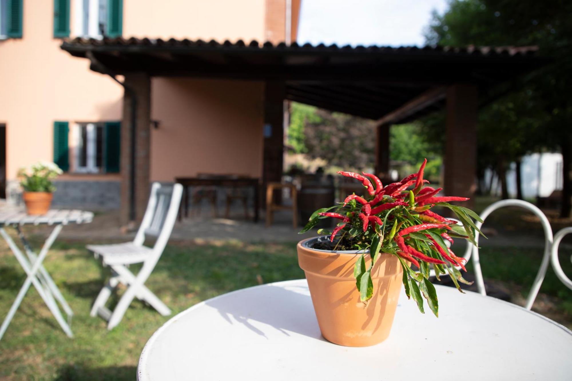 Country Boutique Paradiso Valmadonna Bagian luar foto