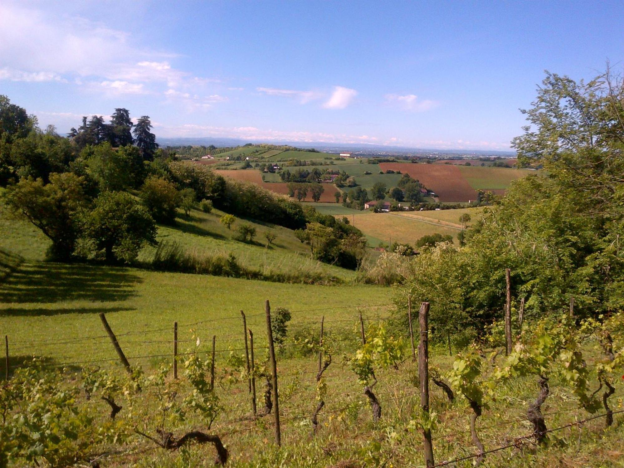 Country Boutique Paradiso Valmadonna Bagian luar foto
